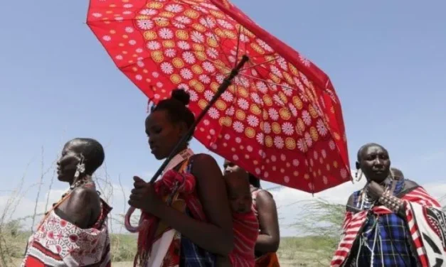 Namíbia/Líderes africanos alertam para a ameaça da resistência antimicrobiana no continente