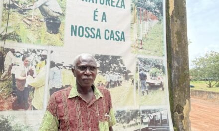 “A situação é extremamente preocupante” nas florestas da Guiné-Bissau
