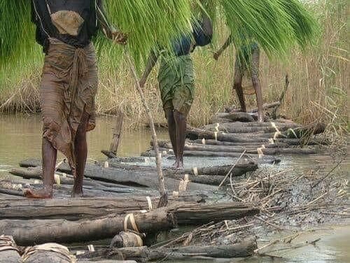 Mulheres das comundades rurais da Guiné-Bissau