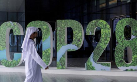 COP 28/ Financiamento climático deve depender de “fontes previsíveis e reguladas” – Carlos Lopes