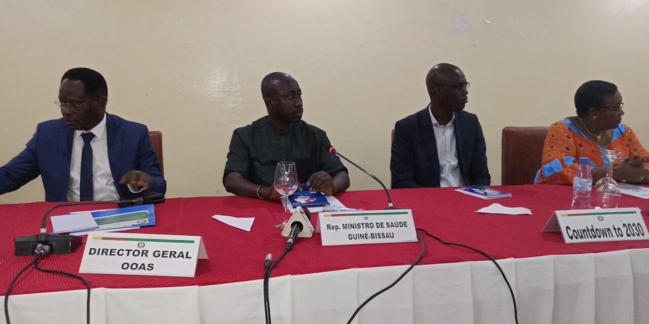 CEDEAO/ Responsáveis técnicos de sistemas nacionais de informação sanitária  reunidos em Bissau