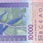 Justiça/Guarda Nacional deteve dois indivíduos com mais de 100 mil francos CFA em notas falsas