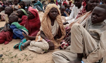 Balanço/”2023 ano de novos conflitos, atropelos aos Direitos Humanos e crises em África”- RFI