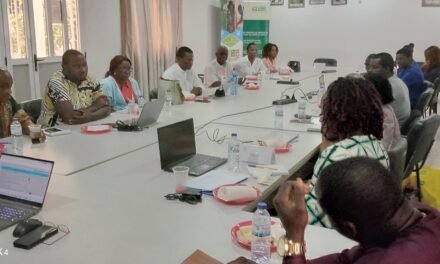 ONG Enda Santé discute com parceiros estratégias para implementação do Programa sobre resistência de VIH e Saúde Sexual