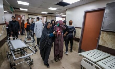 Gaza/Hospital  recebe 73 mortos e 99 feridos em 24 horas