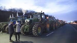 Bélgica/Bruxelas cede a agricultores e recua no plano para cortar nos pesticidas
