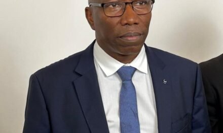 Presidente do parlamento guineense diz que PR é fator de instabilidade democrática