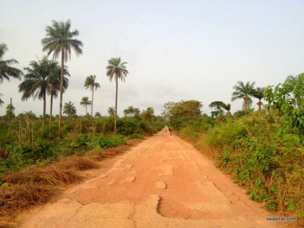 Turismo/Péssimas condições da estrada “ensombram” destino turístico da vila de Bruce, em Bubaque