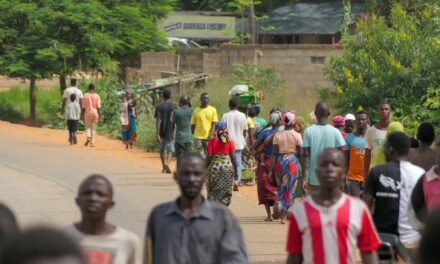 Moçambique/Mortes, ataques e medo deixam aldeia de 11 mil pessoas deserta