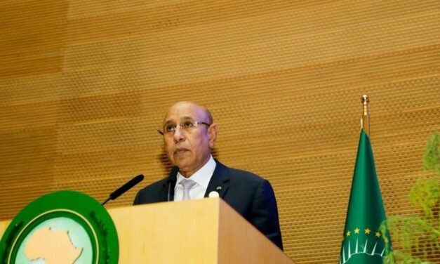 UA/ África quer lugar no Conselho de Paz e Segurança das Nações Unidas