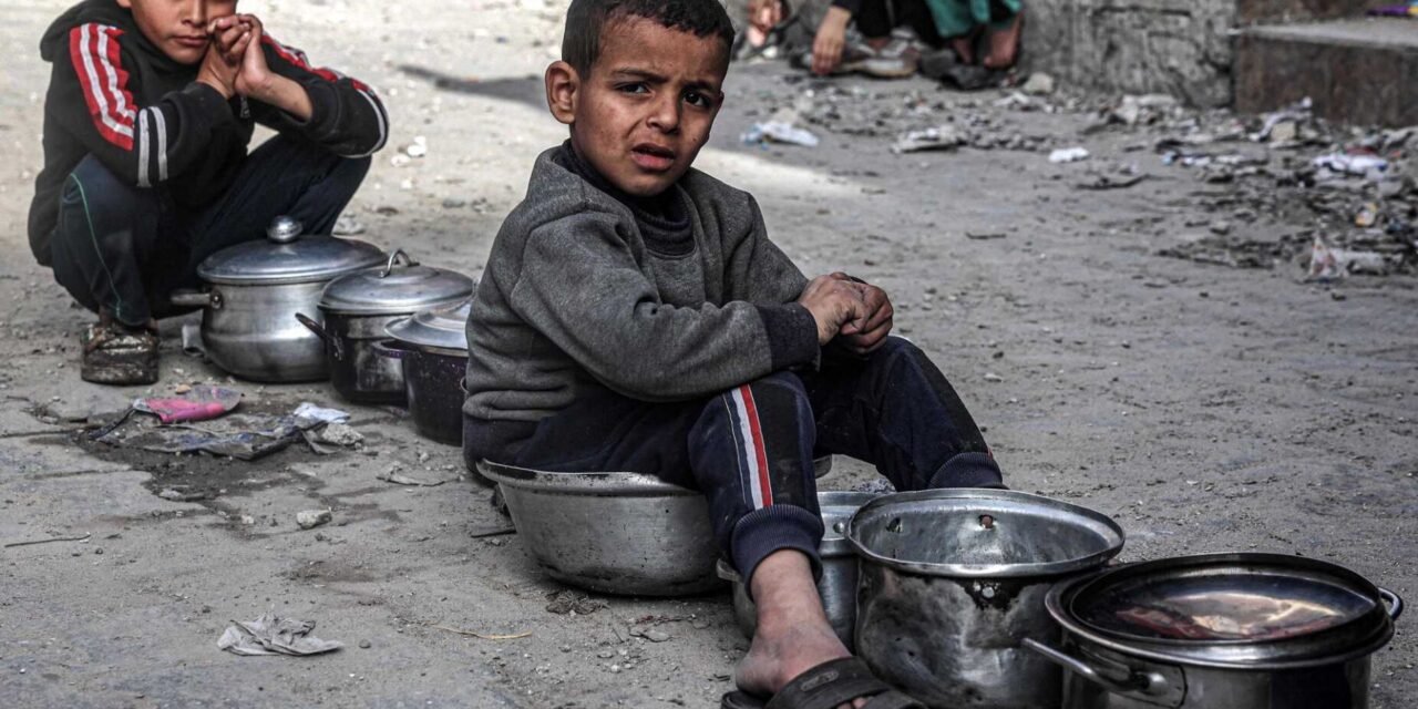 Gaza/Metade dos habitantes  enfrentam situação de fome “catastrófica”