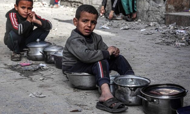 Gaza/Metade dos habitantes  enfrentam situação de fome “catastrófica”