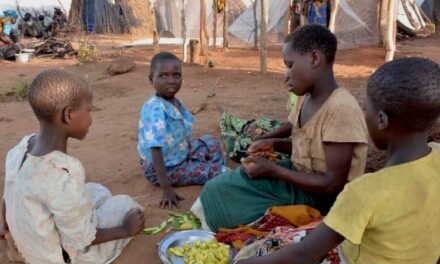 Moçambique/Insegurança alimentar afecta cerca de três milhões de pessoas