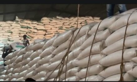 Comércio/Governo inicia hoje a distribuição do arroz para mercados do interior do país