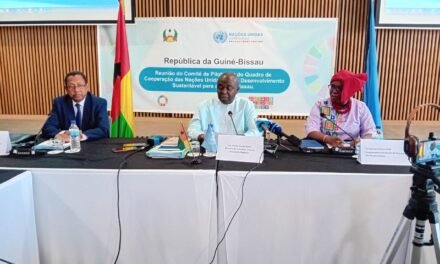 Cooperação Guiné-Bissau-ONU/Ministro dos Negócios Estrangeiros diz esperar uma relação que atenda as necessidades das populações