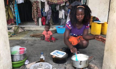 França/Promessas de 2.2 mil milhões de dólares para Clean Cooking em África