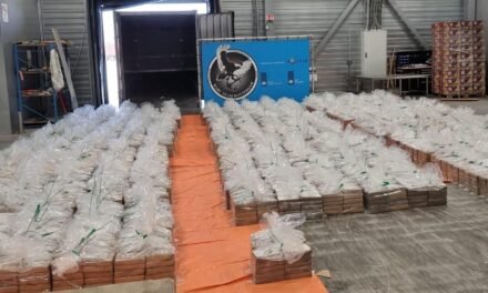 Alemanha/Governo anuncia apreensão recorde de 35,5 toneladas de cocaína originária da América do Sul