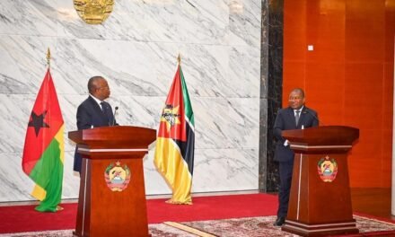Cooperação/Guiné-Bissau e Moçambique assumem compromisso de relançar  cooperação bilateral