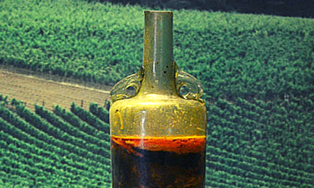  Espanha/Descoberto o vinho mais antigo do mundo