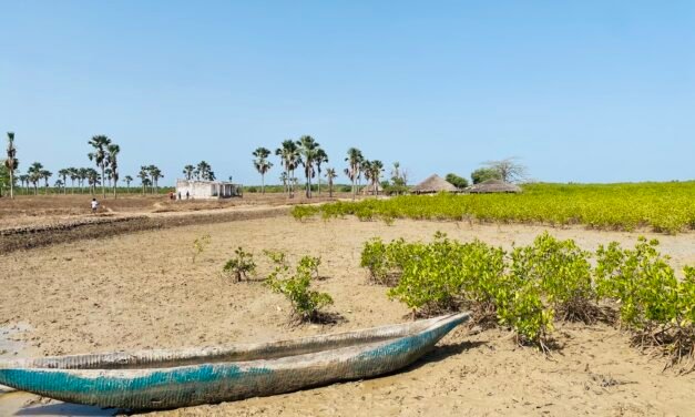  Alterações climáticas/Djobel : Crianças com medo de viver