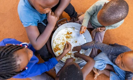 ONU/Mais de uma em cada quatro crianças vive em pobreza alimentar grave