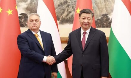 China Popular/Xi apela às potências mundiais para que ajudem Rússia e Ucrânia a retomar o diálogo