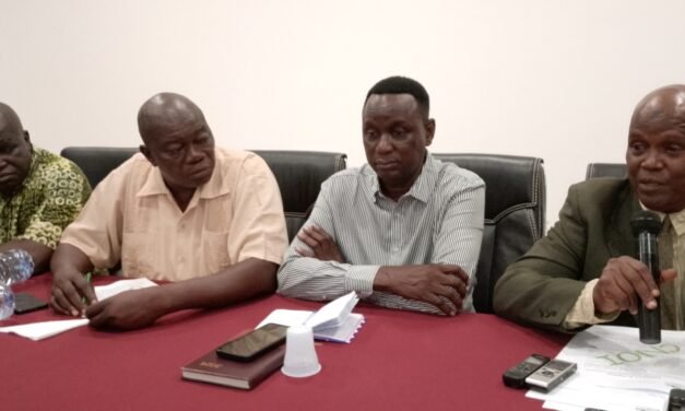 CNOI qualifica de “incursão odiosa” contra o Presidente da República a nota de protesto do Sindicato dos Jornalistas Angolanos