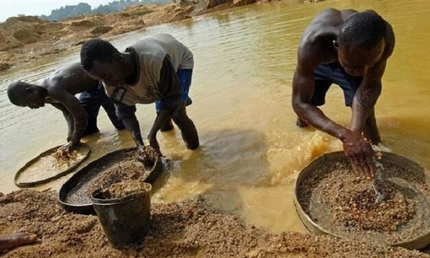 Angola/Garimpo ilegal de diamantes origina danos ambientais no país