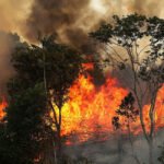 Brasil/Lula apela aos países ricos financiamento à Amazónia em plena vaga de incêndios