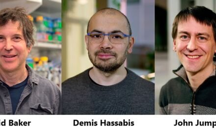 Suécia/David Baker, Demis Hassabis e John Jumper vencem Nobel da Química