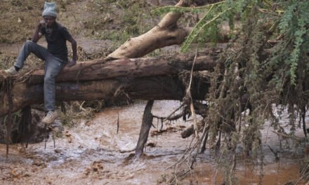 COP29/ Alterações climáticas agravam condições “infernais” dos deslocados