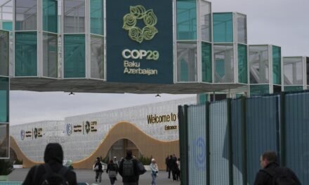 COP29/ “Há mais lobistas do que delegações de países expostos às alterações climáticas”