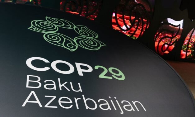 COP29/“Precisamos de soluções de curto a médio prazo” para fazer face às alterações climáticas