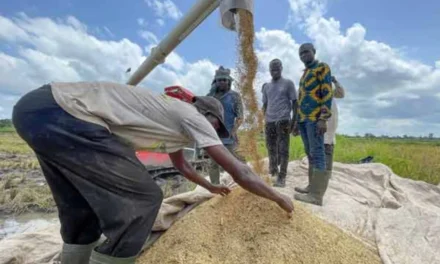 Costa do Marfim/ Bancos multilaterais de desenvolvimento convidados a reduzir emissões de metano em África