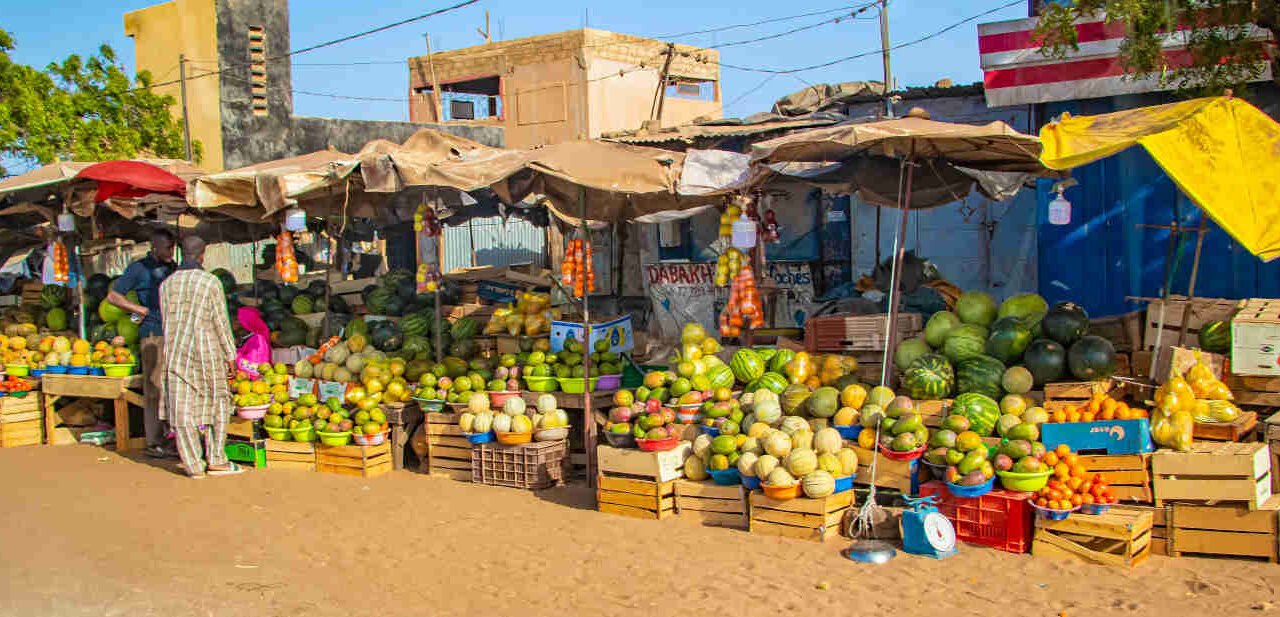 Senegal/Empregadores apoiam política de soberania alimentar do Governo