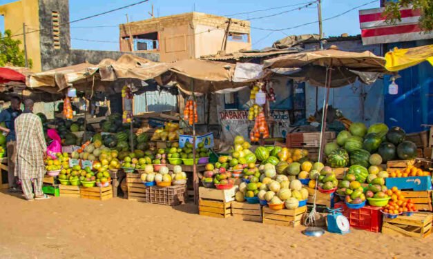 Senegal/Empregadores apoiam política de soberania alimentar do Governo