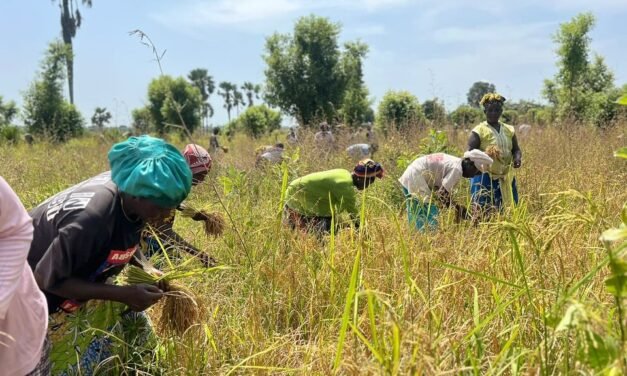 Agricultura/Tiniguena e PADES assinam Convenção Operacional para as regiões de Bolama e Quinará