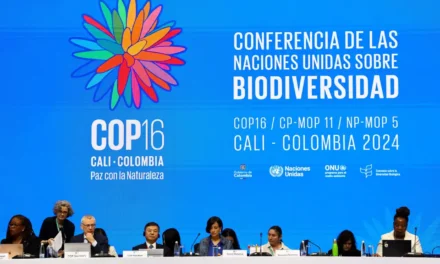 Clima/“Crise existencial” do mundo no centro da COP 16