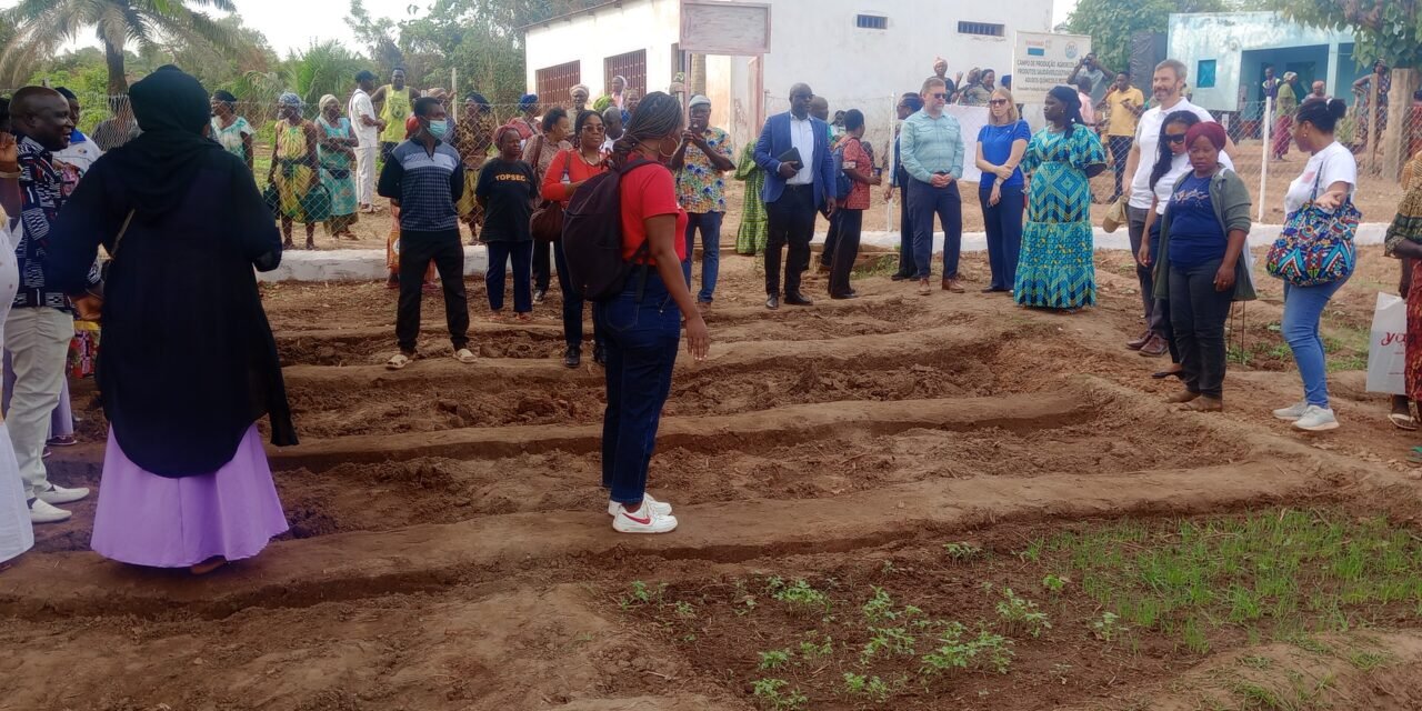 Chefe do Gabinete de Ligação dos EUA na Guiné-Bissau satisfeita com melhoria da produção de sementes por  mulheres horticultoras