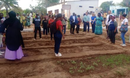 Chefe do Gabinete de Ligação dos EUA na Guiné-Bissau satisfeita com melhoria da produção de sementes por  mulheres horticultoras