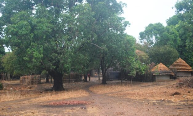 Regiões/19 escolas públicas fechadas no Setor de Boé por falta de professores