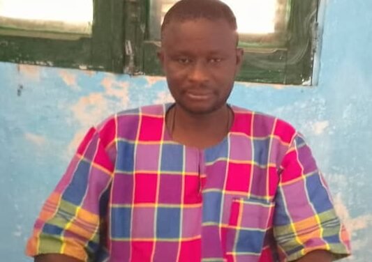 Regiões/  Gado bovino destroem campos de lavoura em Olossato