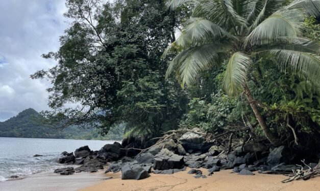 CPLP/Rede da Biosfera  reunida no Príncipe
