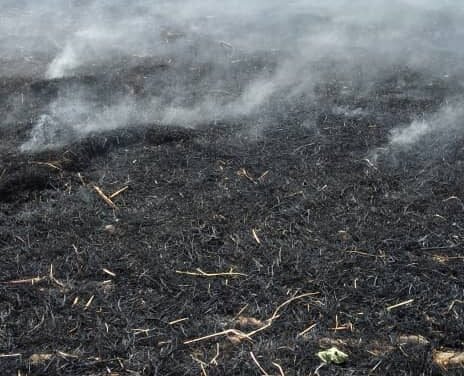 Regiões /Fogo de origem desconhecida destrói colheita de arroz na tabanca de Sucutó, região de Oio