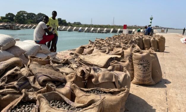 Caju/”Não existe nada que perturba a campanha de comercialização do presente ano” diz Anselmo Mendes