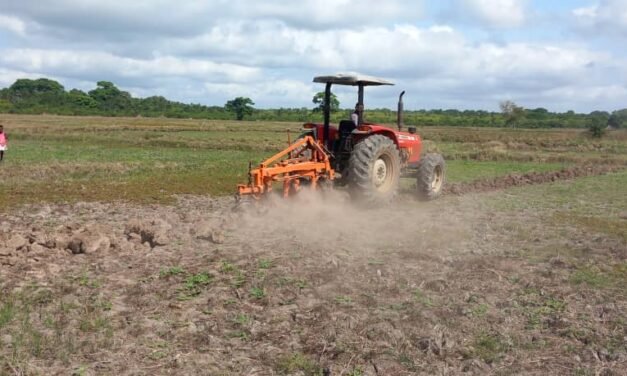 Regiões / COAJOQ pede mais tratores ao Governo e parceiros para reforçar sua capacidade de produção agrícola 