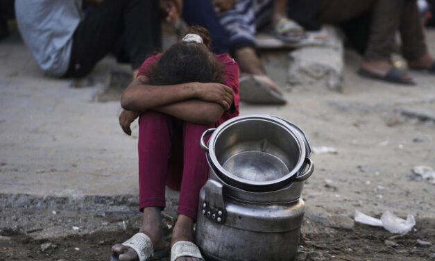 Médio Oriente/Mais de cem ONG’s interpelam comunidade internacional sobre a fome na Faixa de Gaza