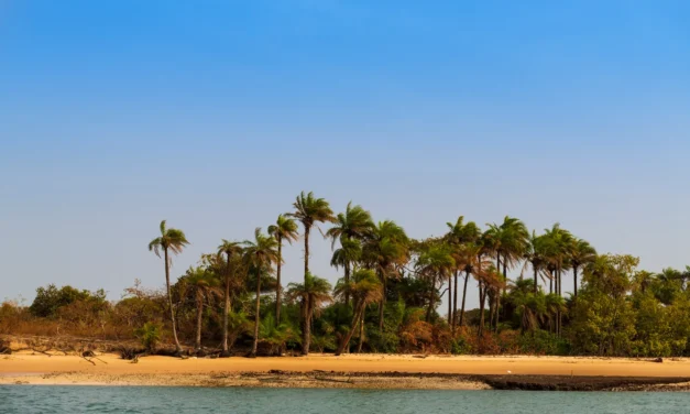 França/Bijagós e Parque Nacional de Maputo na corrida a Património Mundial da UNESCO