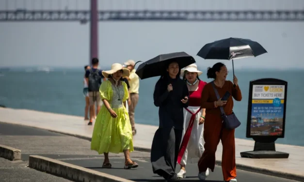 França/Onda de calor está a sufocar a Europa