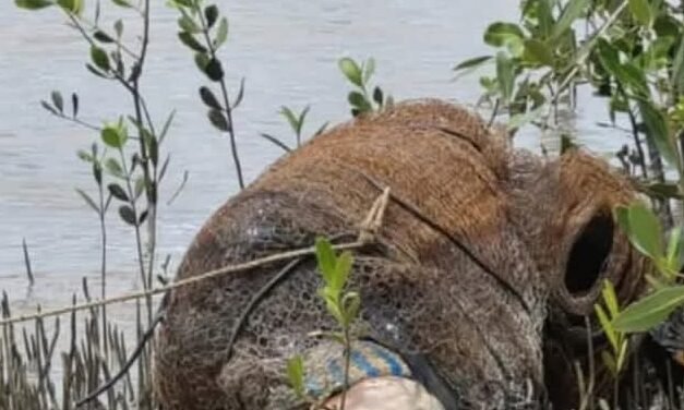 Óbito / Pescador encontra  corpo de um homem morto  amarrado a um pilar na margem do rio Mansoa